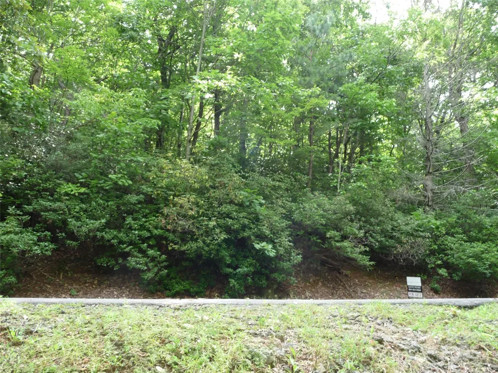 Lot 70 Serpentine Drive #Lot 70 Columbus, NC 28722