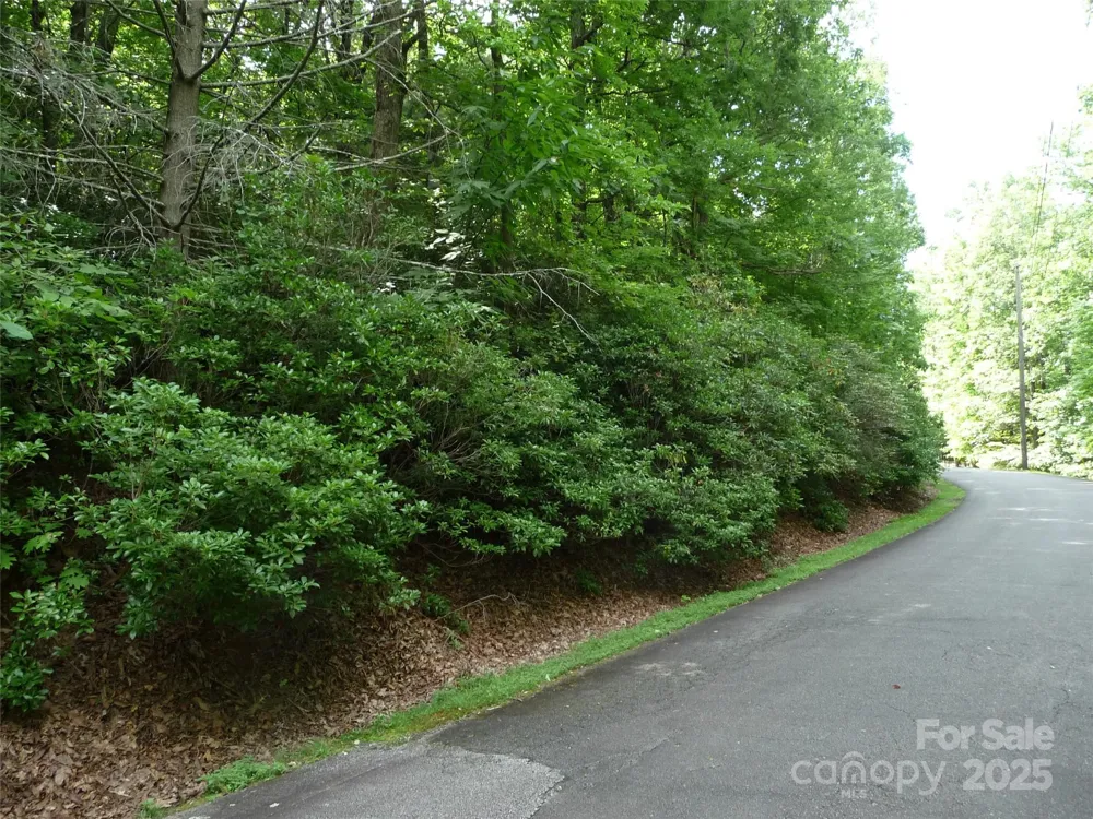 Lot 70 Serpentine Drive #Lot 70 Columbus, NC 28722