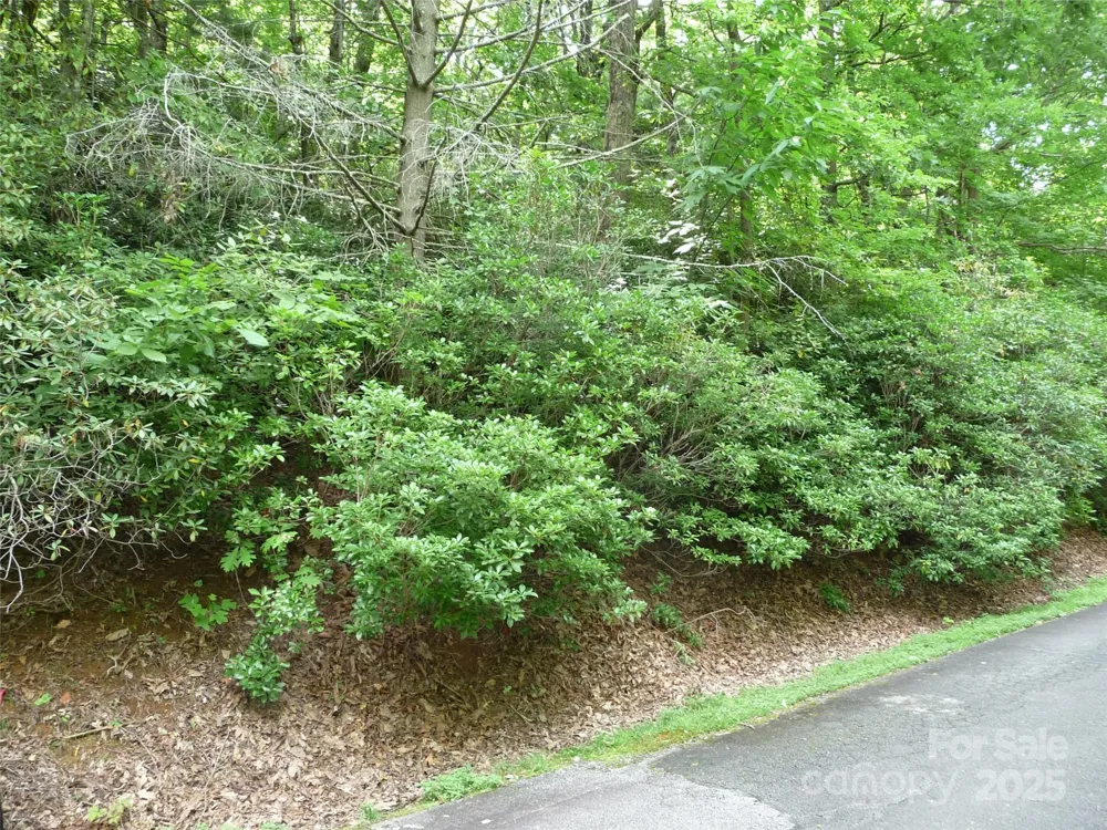Lot 70 Serpentine Drive #Lot 70 Columbus, NC 28722