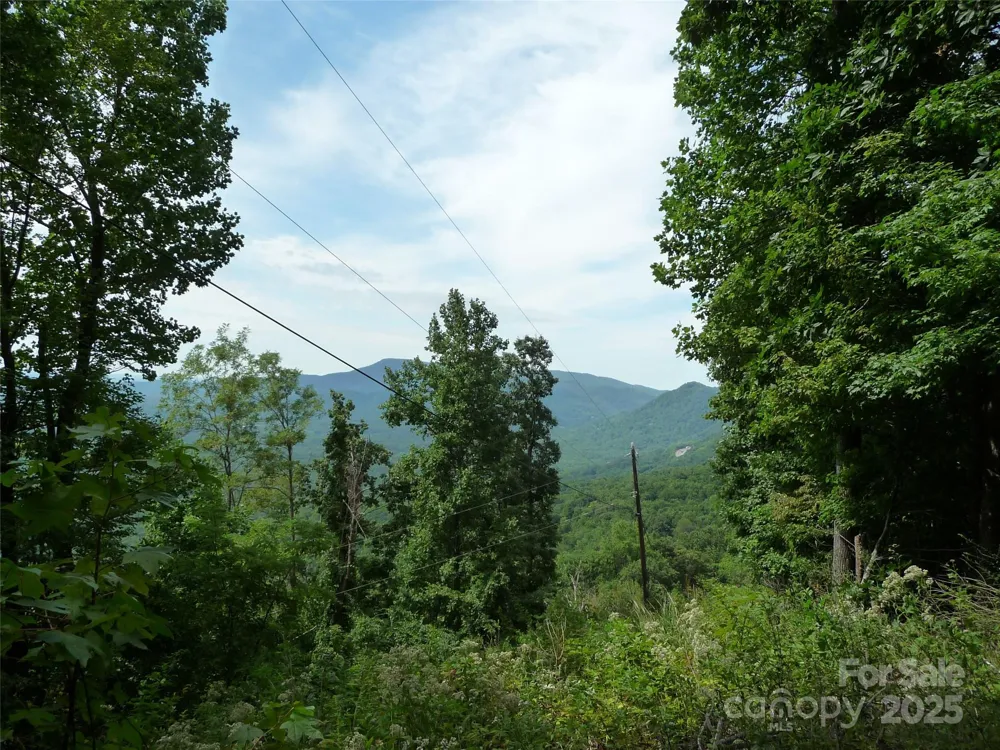 999 Skyuka Mountain Road #Lot 9 Columbus, NC 28722
