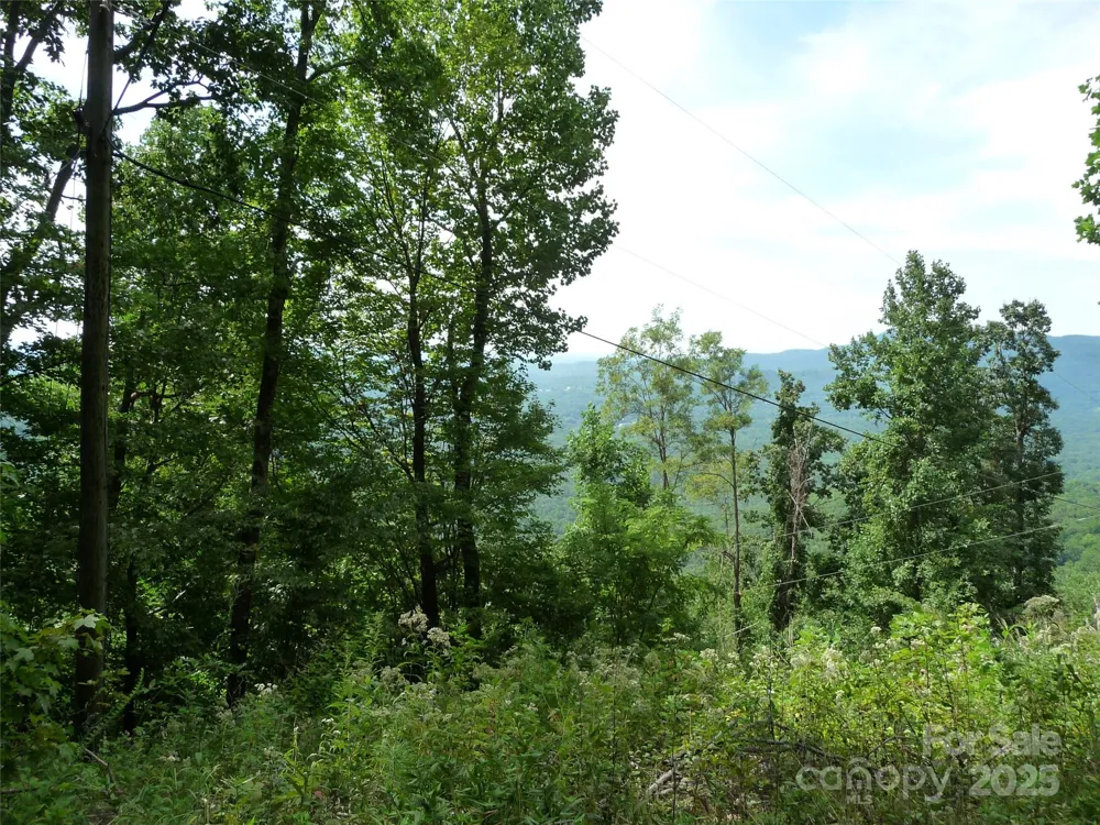 999 Skyuka Mountain Road #Lot 9 Columbus, NC 28722