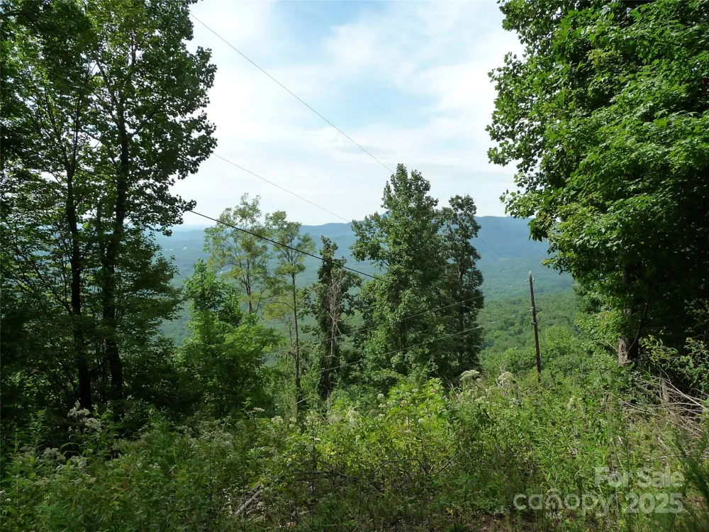 999 Skyuka Mountain Road #Lot 9 Columbus, NC 28722