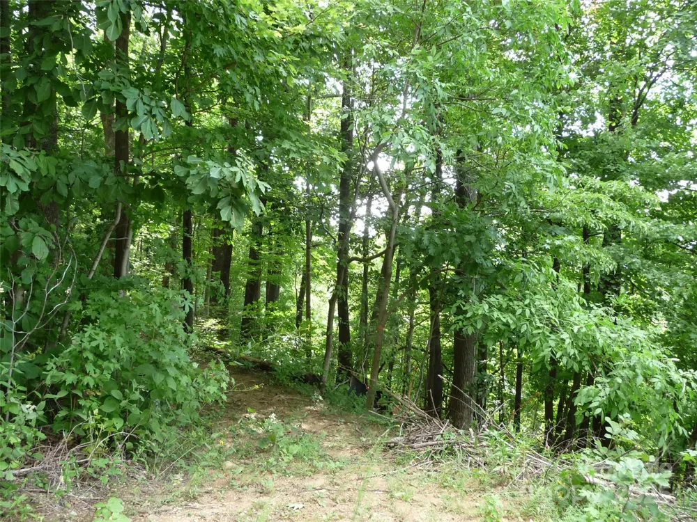 999 Skyuka Mountain Road #Lot 9 Columbus, NC 28722