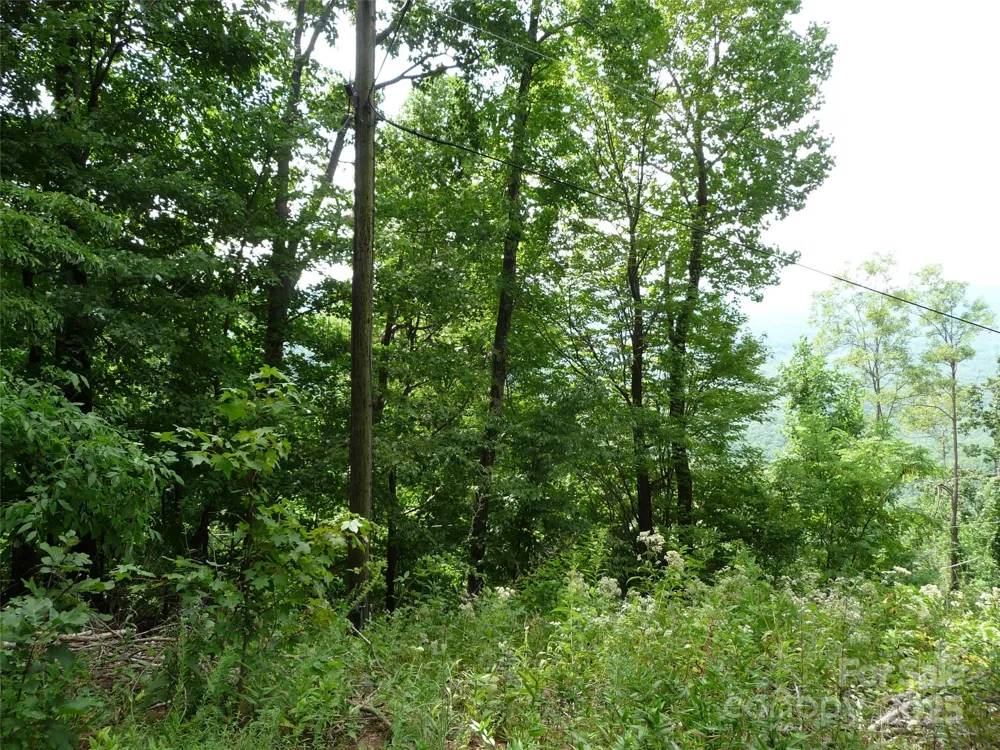999 Skyuka Mountain Road #Lot 9 Columbus, NC 28722