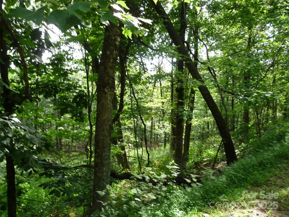 Lot 12 Sunset Ridge Drive #Lot 12 Columbus, NC 28722