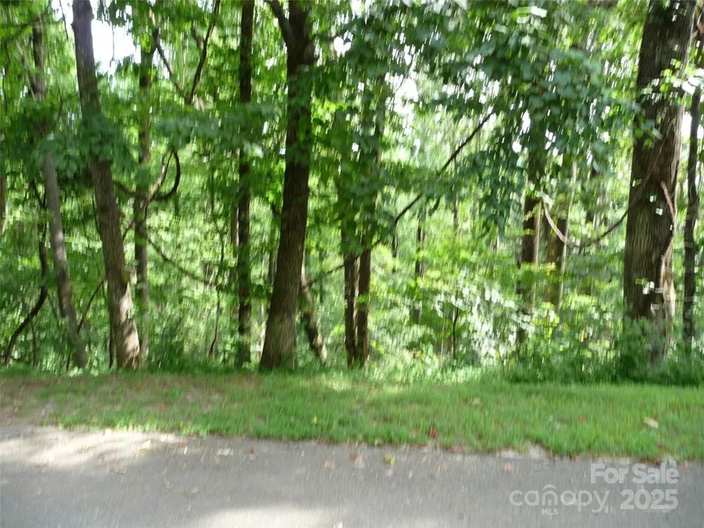 Lot 12 Sunset Ridge Drive #Lot 12 Columbus, NC 28722