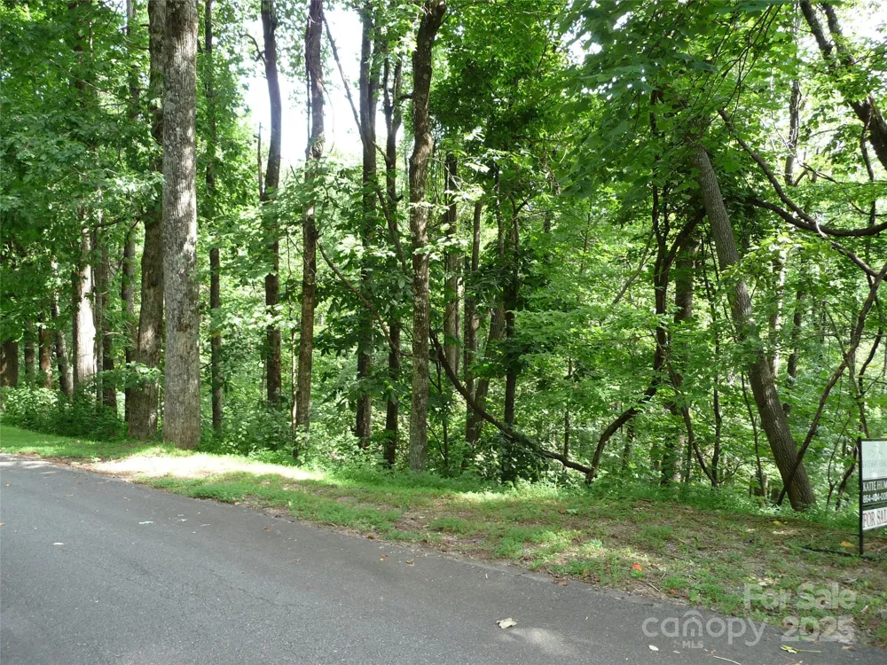 Lot 12 Sunset Ridge Drive #Lot 12 Columbus, NC 28722