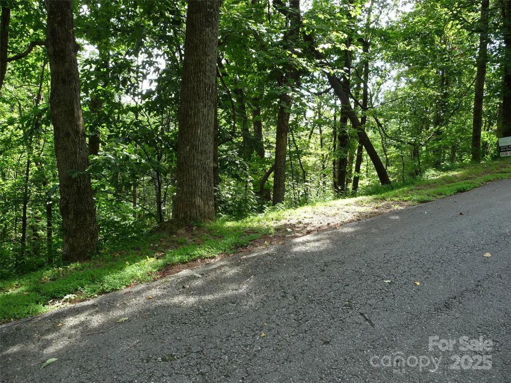 Lot 12 Sunset Ridge Drive #Lot 12 Columbus, NC 28722