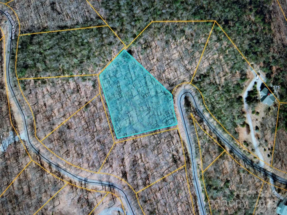 Lot 35 Morning Ride Drive #Lot 35 Columbus, NC 28722