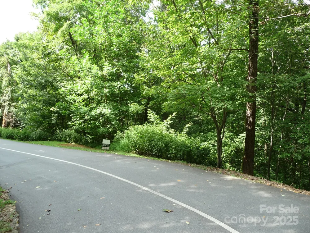 Lot 35 Morning Ride Drive #Lot 35 Columbus, NC 28722