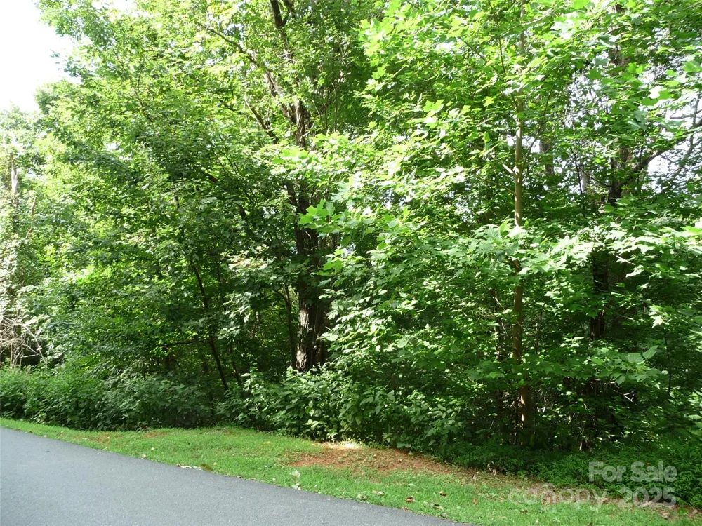Lot 35 Morning Ride Drive #Lot 35 Columbus, NC 28722
