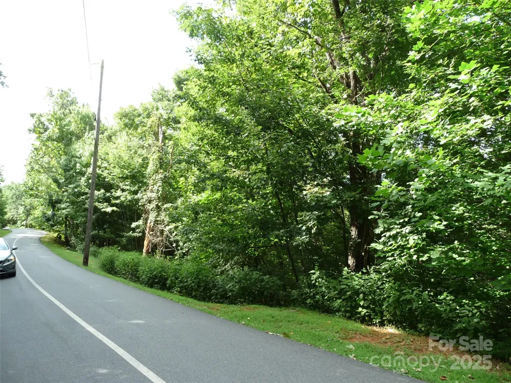 Lot 35 Morning Ride Drive #Lot 35 Columbus, NC 28722