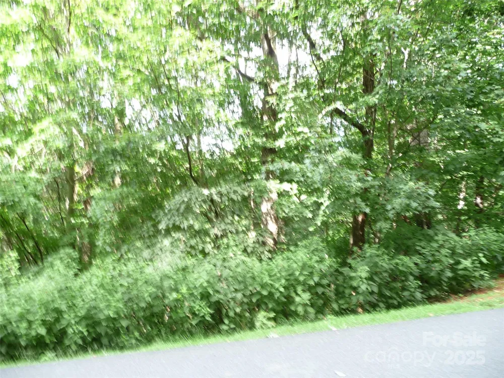 Lot 35 Morning Ride Drive #Lot 35 Columbus, NC 28722