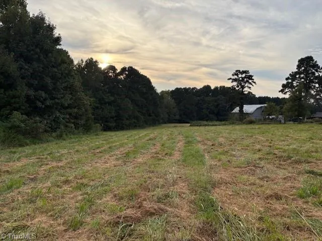 1610 NC Highway 61 Whitsett, NC 27377