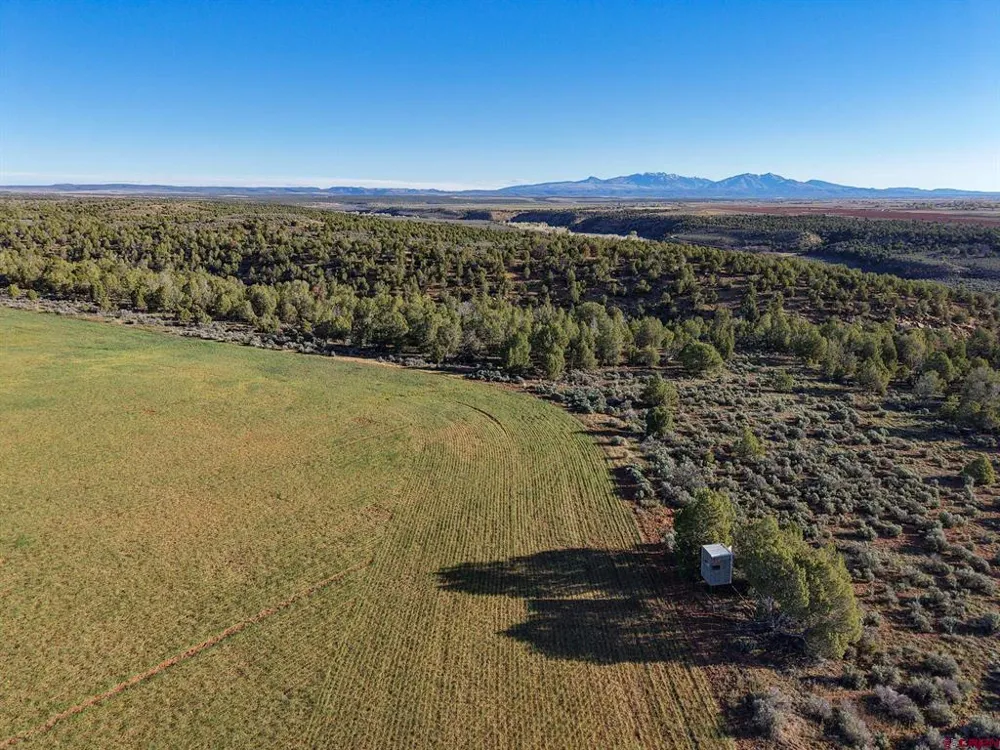 2 County Road 106 Hesperus, CO 81326