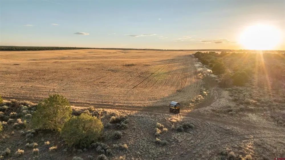 2 County Road 106 Hesperus, CO 81326
