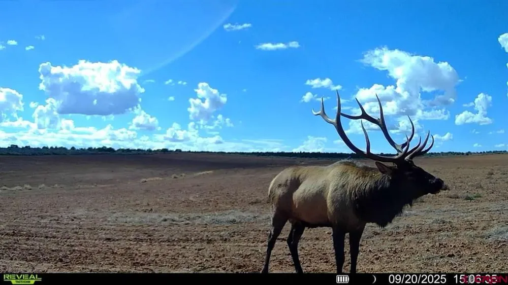 2 County Road 106 Hesperus, CO 81326
