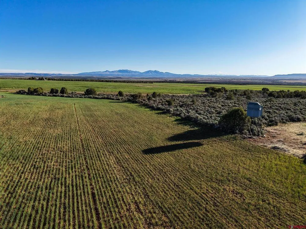 2 County Road 106 Hesperus, CO 81326