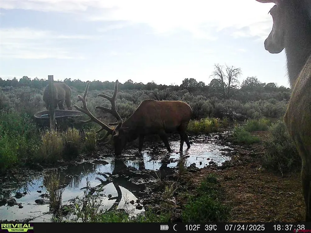 2 County Road 106 Hesperus, CO 81326
