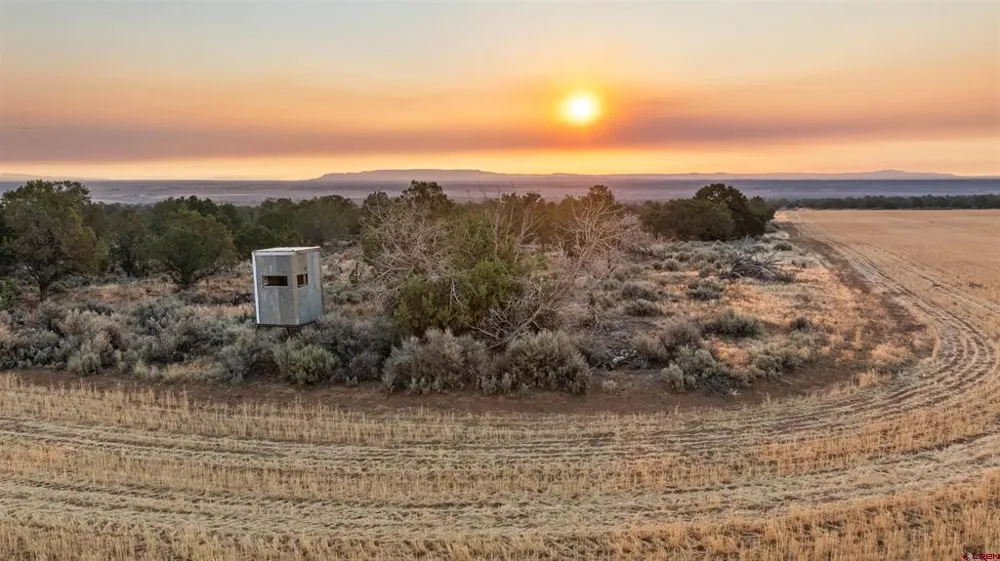 2 County Road 106 Hesperus, CO 81326