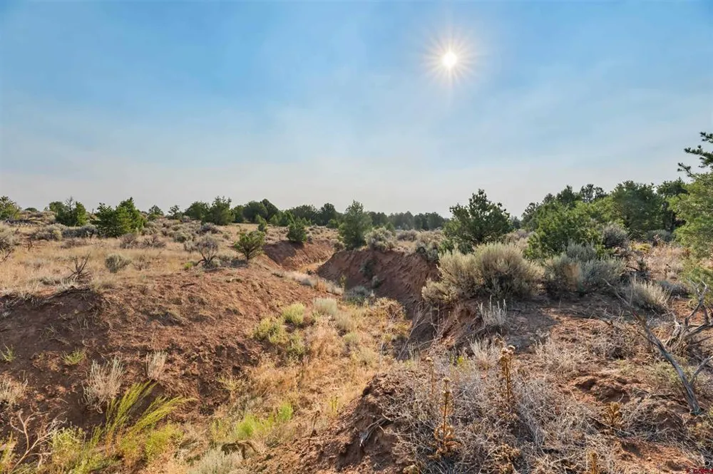 2 County Road 106 Hesperus, CO 81326