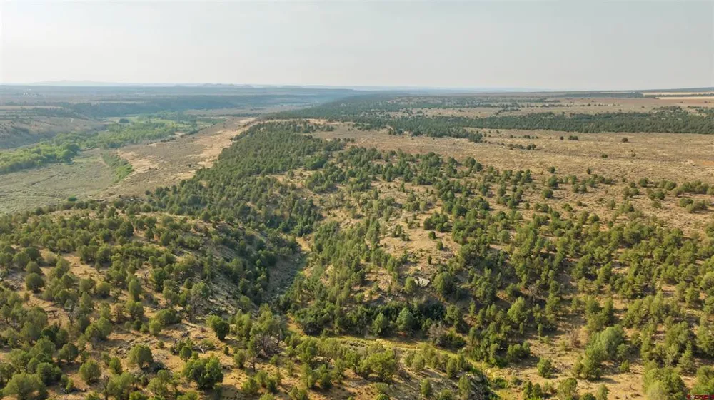 2 County Road 106 Hesperus, CO 81326