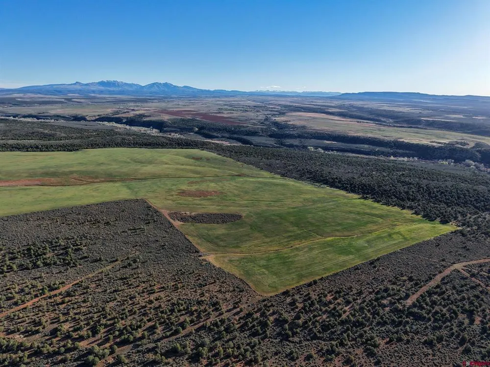 2 County Road 106 Hesperus, CO 81326
