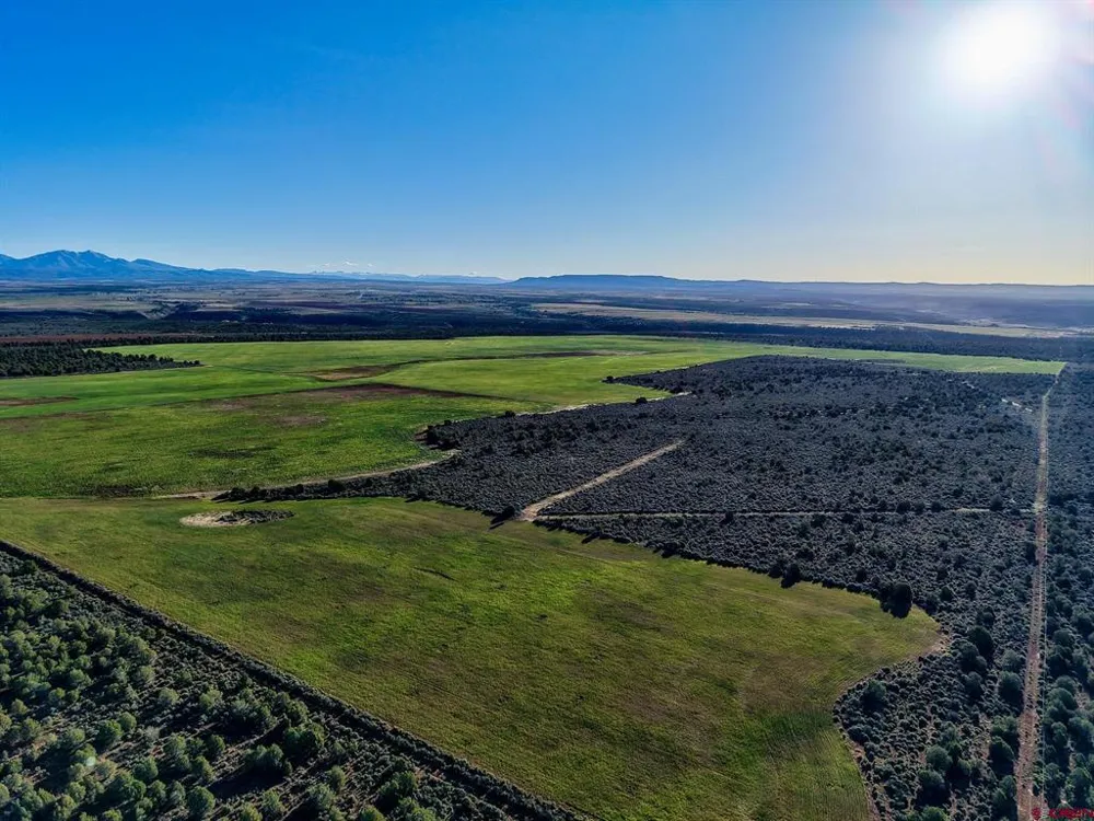 2 County Road 106 Hesperus, CO 81326