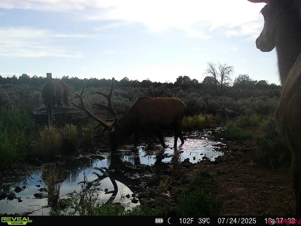2 County Road 106 Hesperus, CO 81326