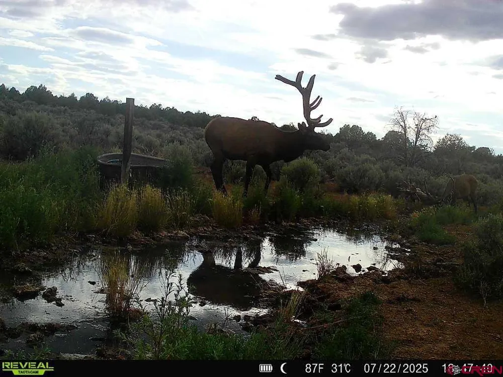2 County Road 106 Hesperus, CO 81326