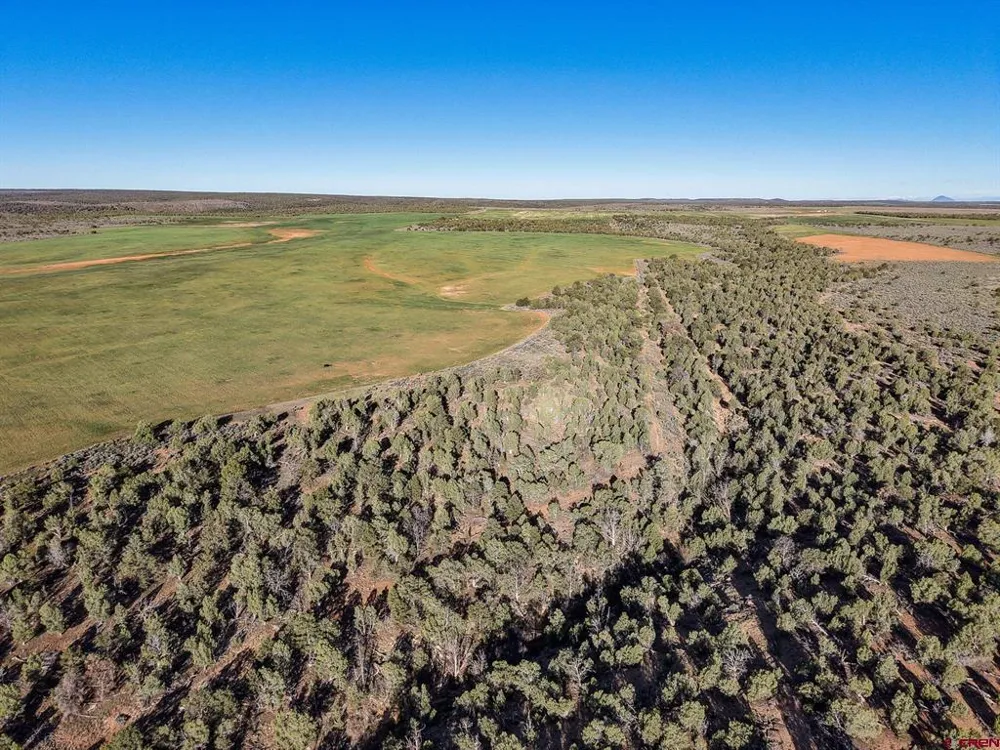2 County Road 106 Hesperus, CO 81326