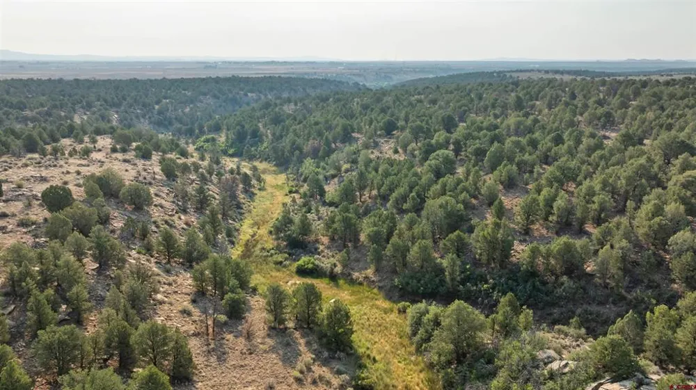 2 County Road 106 Hesperus, CO 81326