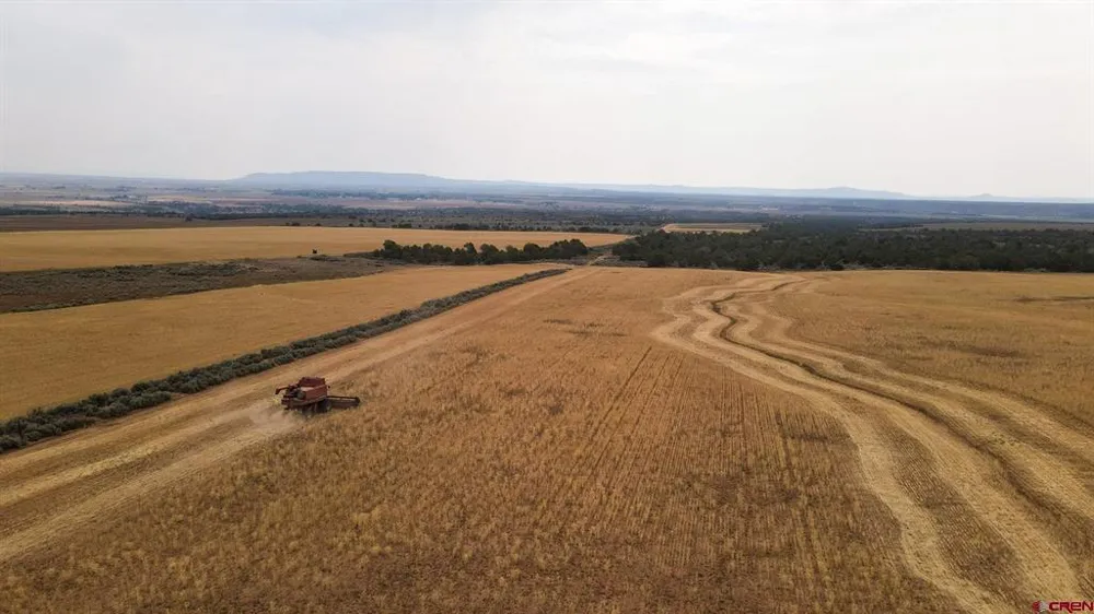2 County Road 106 Hesperus, CO 81326