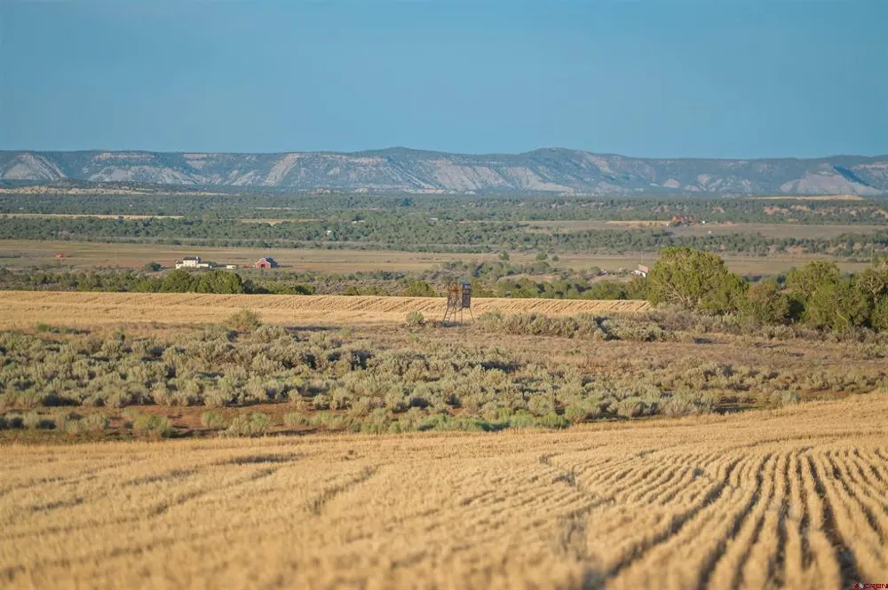 2 County Road 106 Hesperus, CO 81326