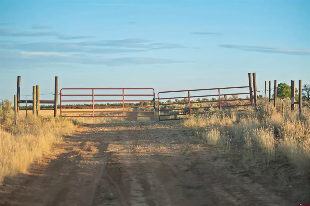 2 County Road 106 Hesperus, CO 81326