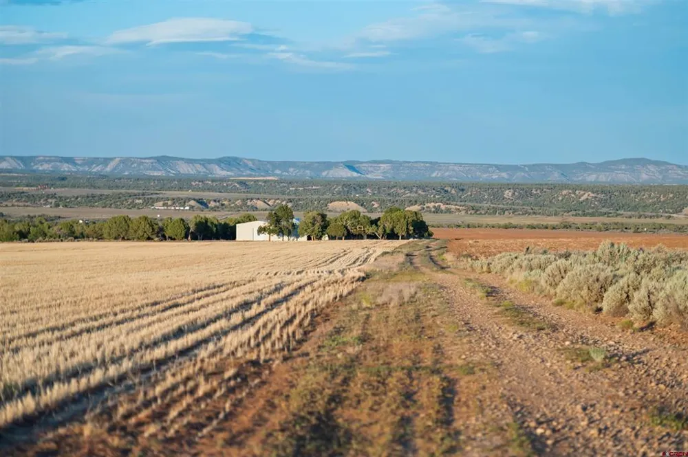 2 County Road 106 Hesperus, CO 81326