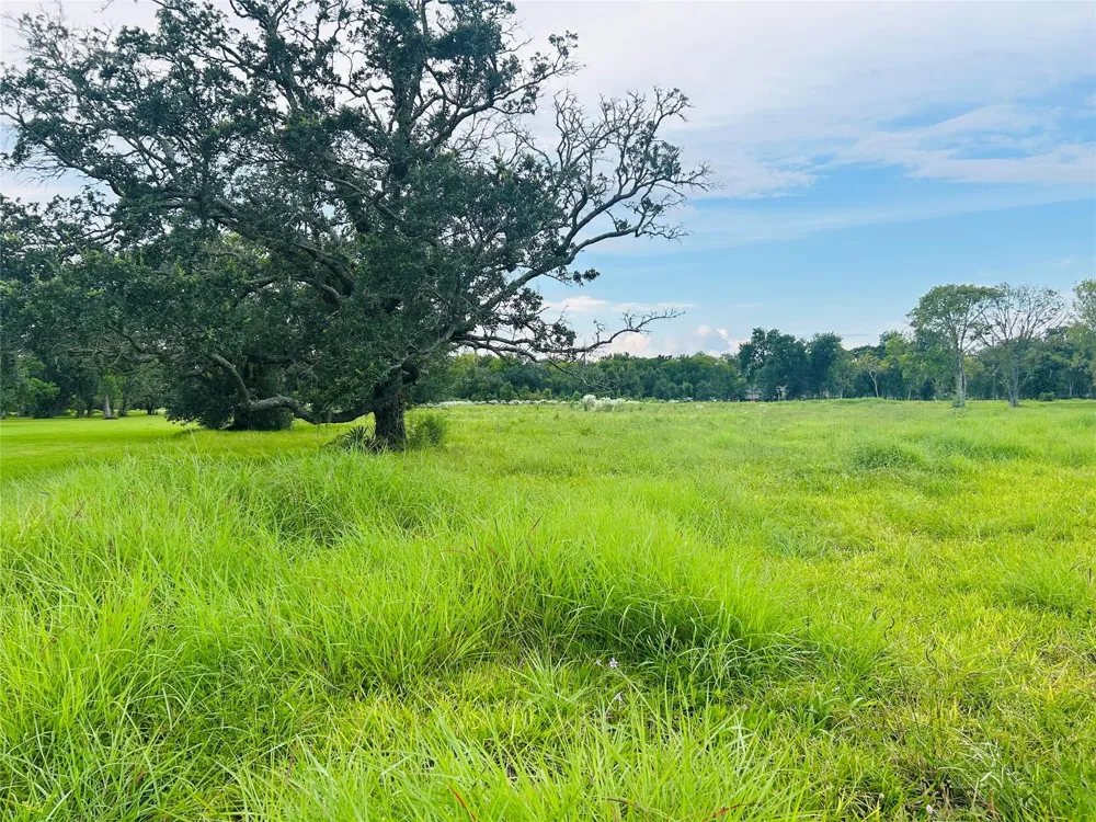 33211 Blue Marlin Drive Richwood, TX 77515