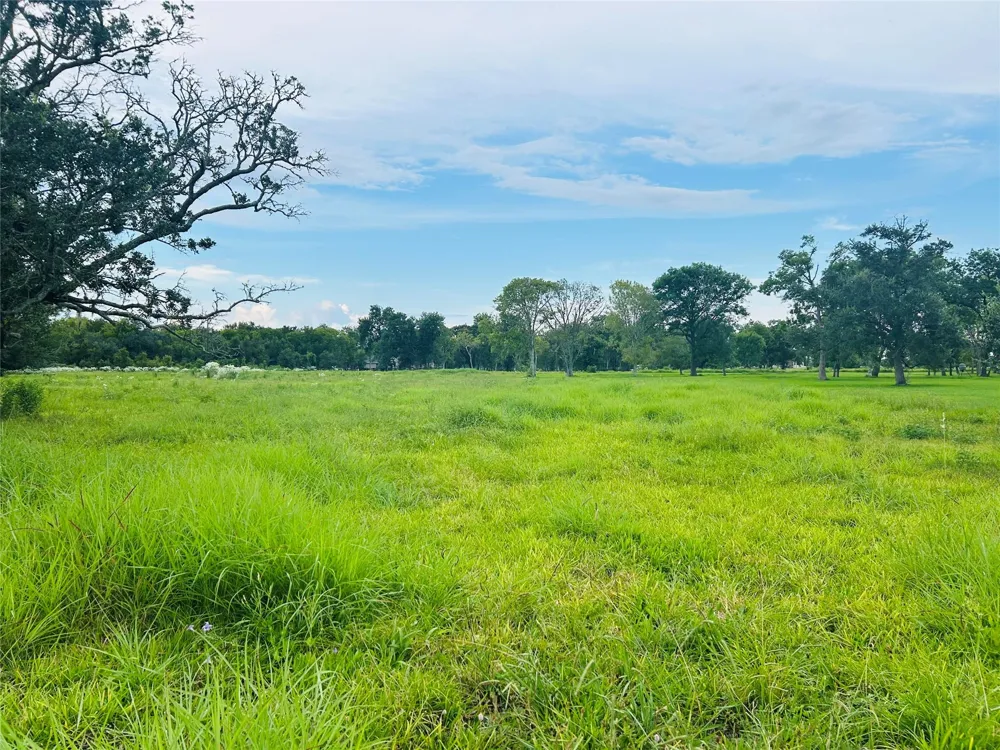 33211 Blue Marlin Drive Richwood, TX 77515