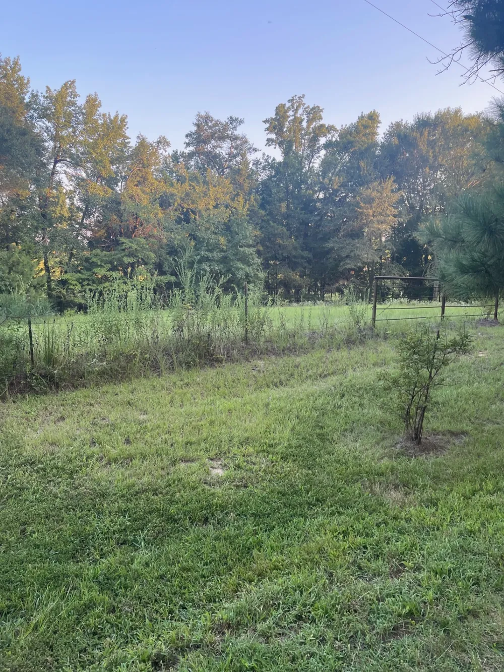 FM 2909 & PR 8905 Canton, TX 75103