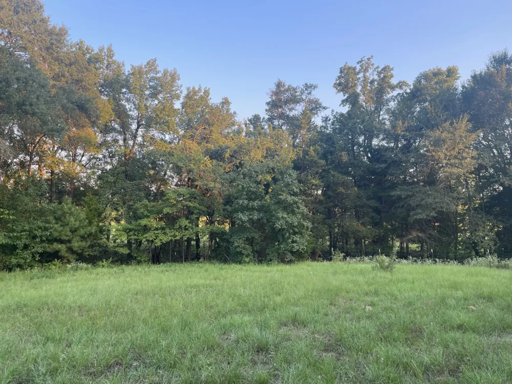 FM 2909 & PR 8905 Canton, TX 75103