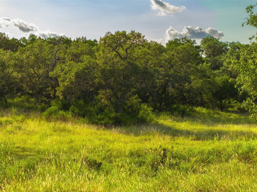 181 Spring Mountain Drive Canyon Lake, TX 78133