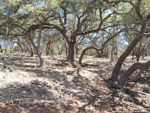 243 KELLOG Fischer, TX 78623