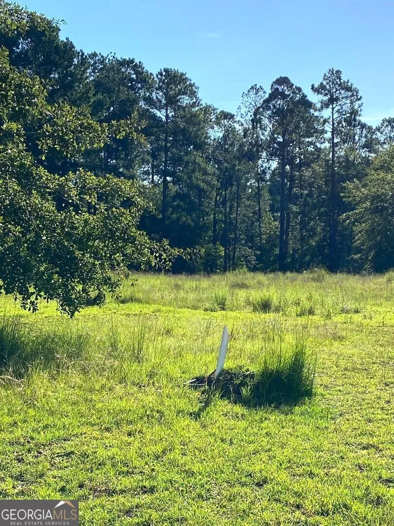 0 Deer Creek RD Swainsboro, GA 30401