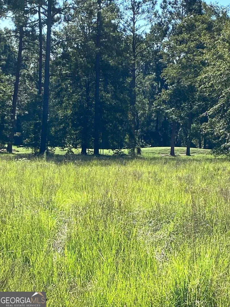 0 Deer Creek RD Swainsboro, GA 30401