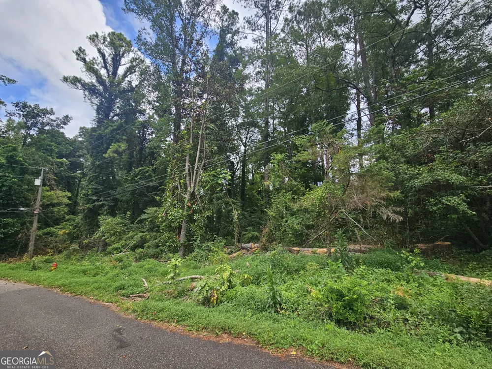 4676 Pine DR SE Acworth, GA 30102