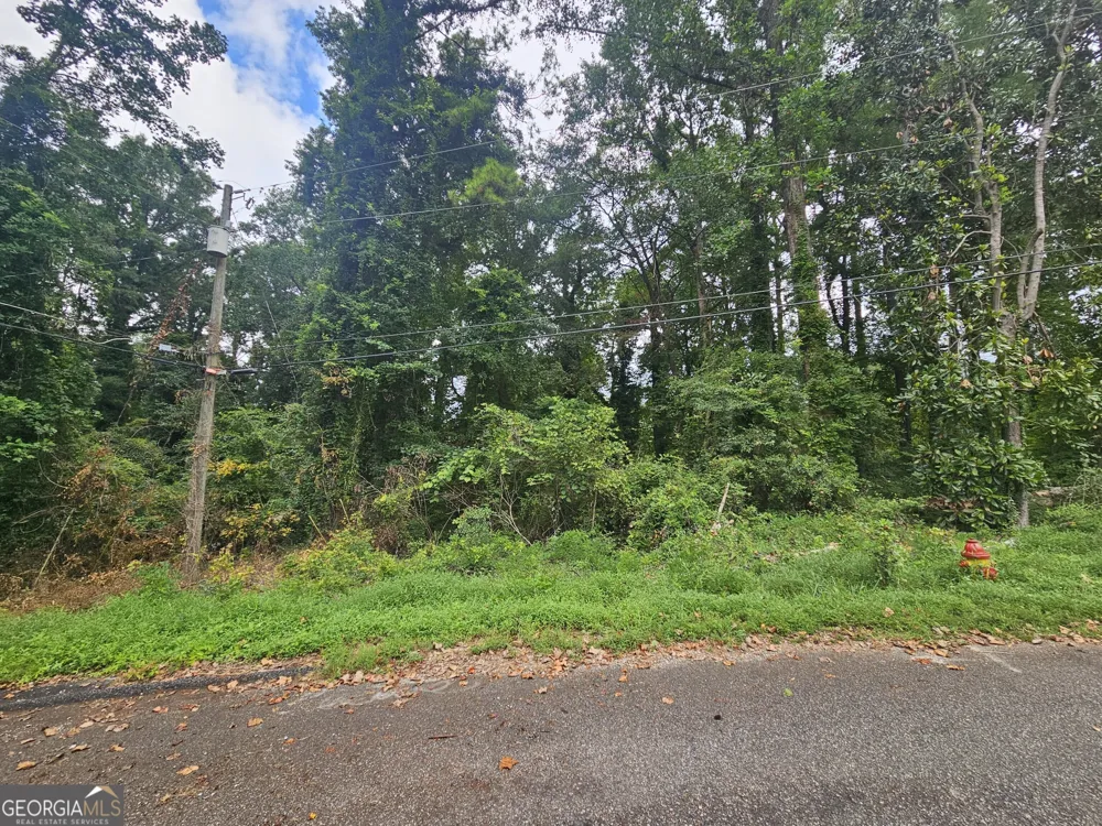 4676 Pine DR SE Acworth, GA 30102