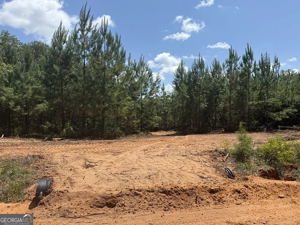 0 Fox Creek RD Preston, GA 31824