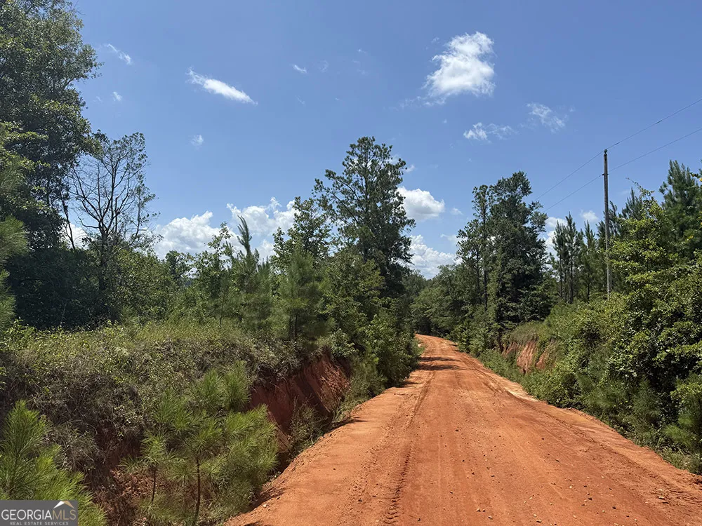 0 Fox Creek RD Preston, GA 31824