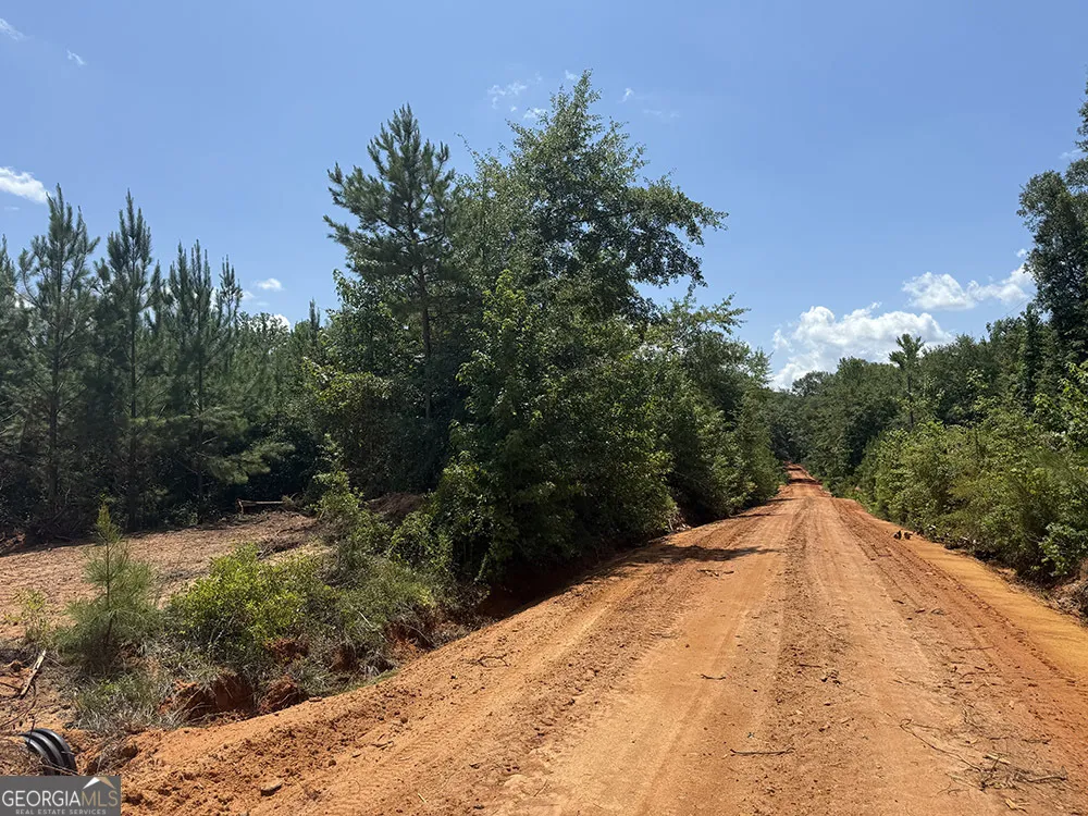 0 Fox Creek RD Preston, GA 31824