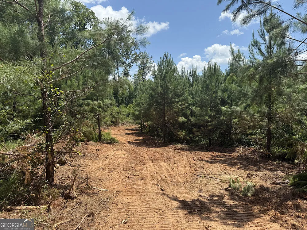 0 Fox Creek RD Preston, GA 31824